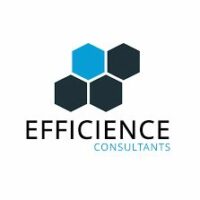 Logo Efficience Consultants